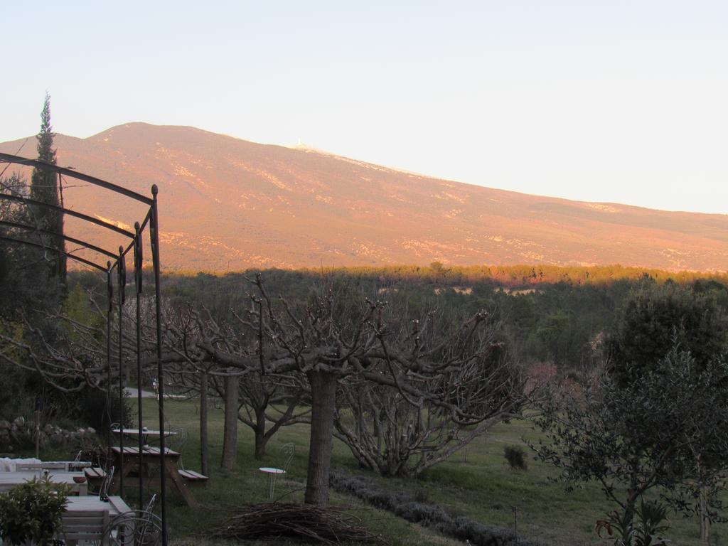 Residence De Gites La Sidoine Du Mont-Ventoux Crillon-le-Brave Exteriér fotografie