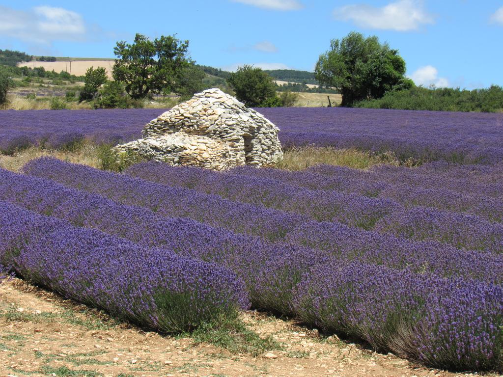 Residence De Gites La Sidoine Du Mont-Ventoux Crillon-le-Brave Exteriér fotografie